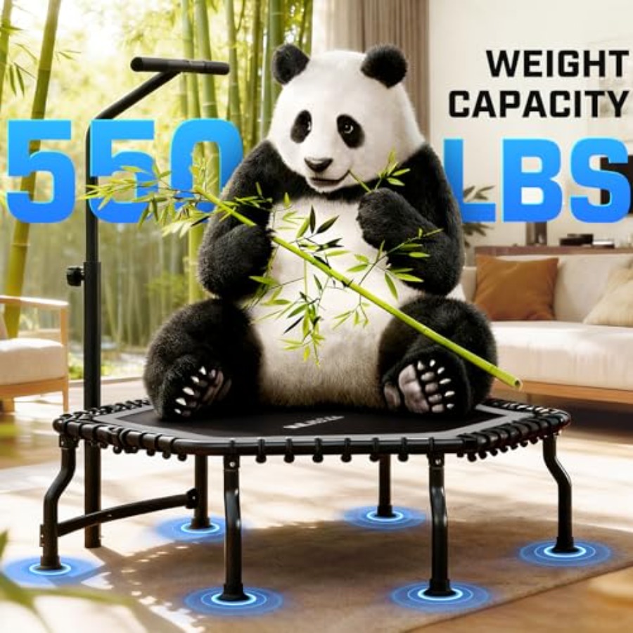 Indoor Mini Trampoline 50'' fo – Trampoline Mini Indoor Bewertung und Preis