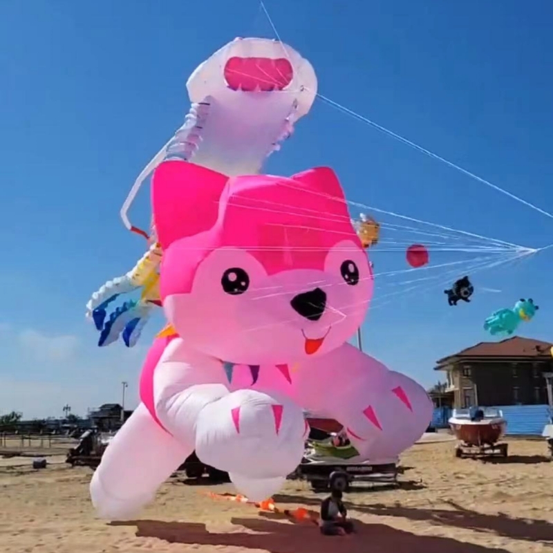Giant kites flying inflatable  – Kite Wind Outdoor Bewertung und Preis