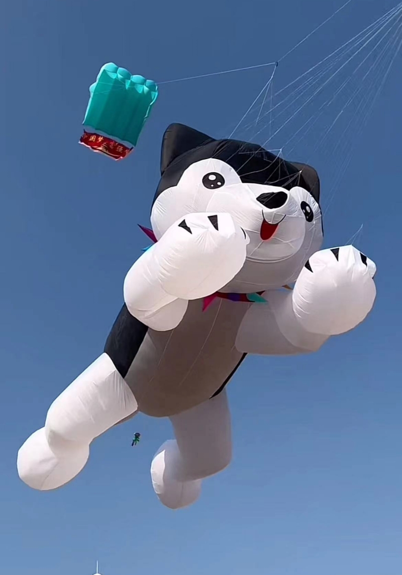 Giant kites flying inflatable  – Kite Wind Outdoor Bewertung und Preis