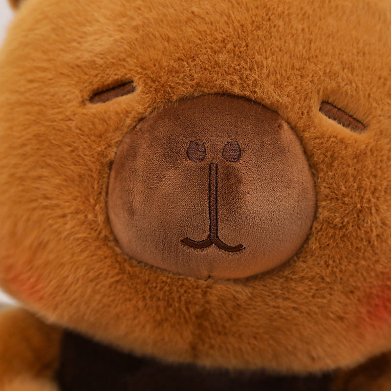 New Capybara Plush Toy Stuffed – Best Kids Toys Xmas Bewertung und Preis