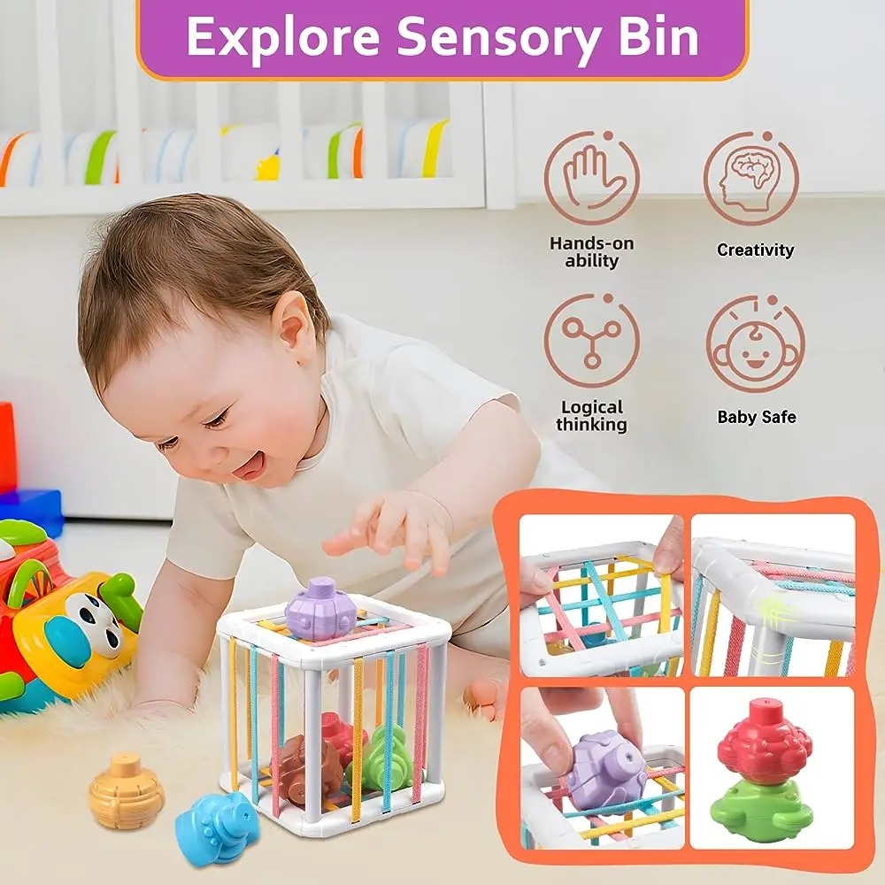 Rainbow Colorful Montessori Sh – Kids Toys Variety Bewertung und Preis