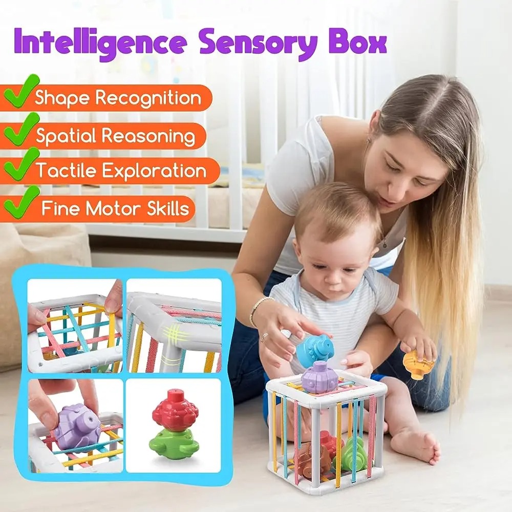 Rainbow Colorful Montessori Sh – Kids Toys Variety Bewertung und Preis