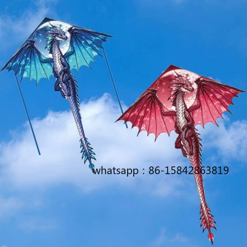 New pterosaur kites flying pro – Kite Wind Outdoor Bewertung und Preis