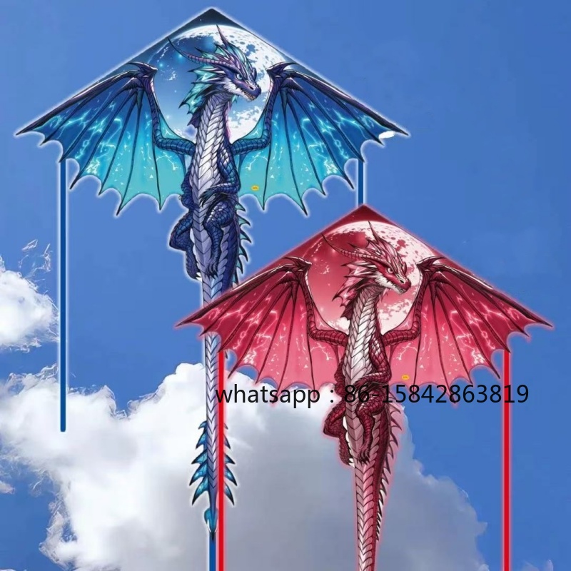 New pterosaur kites flying pro – Kite Wind Outdoor Bewertung und Preis