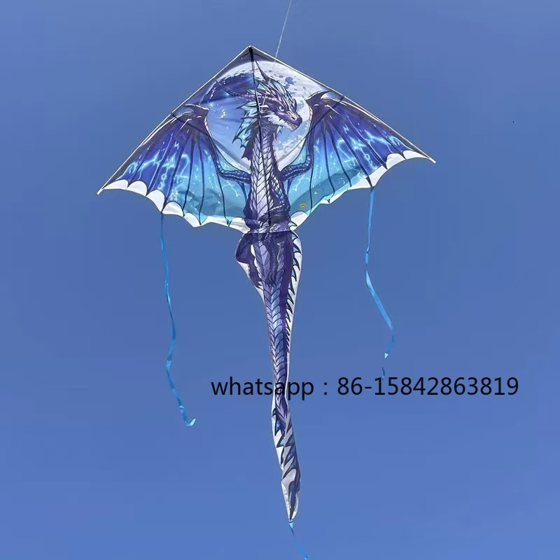 New pterosaur kites flying pro – Kite Wind Outdoor Bewertung und Preis