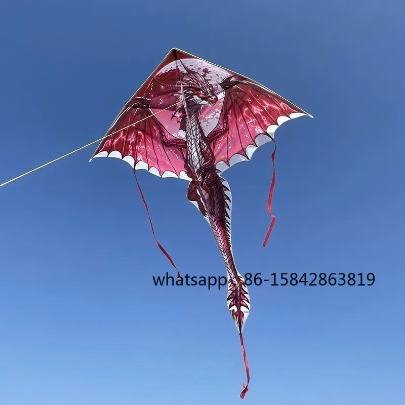 New pterosaur kites flying pro – Kite Wind Outdoor Bewertung und Preis