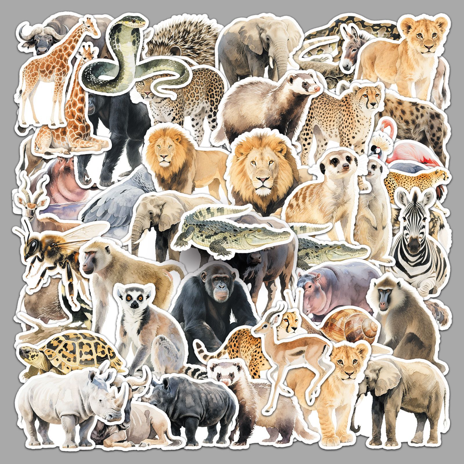 50PCS African Animal Cartoon G – Kids Toys Elephant Bewertung und Preis