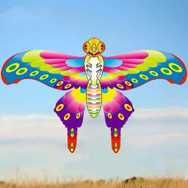 Children kite flying fishing l – Kite Wind Outdoor Bewertung und Preis