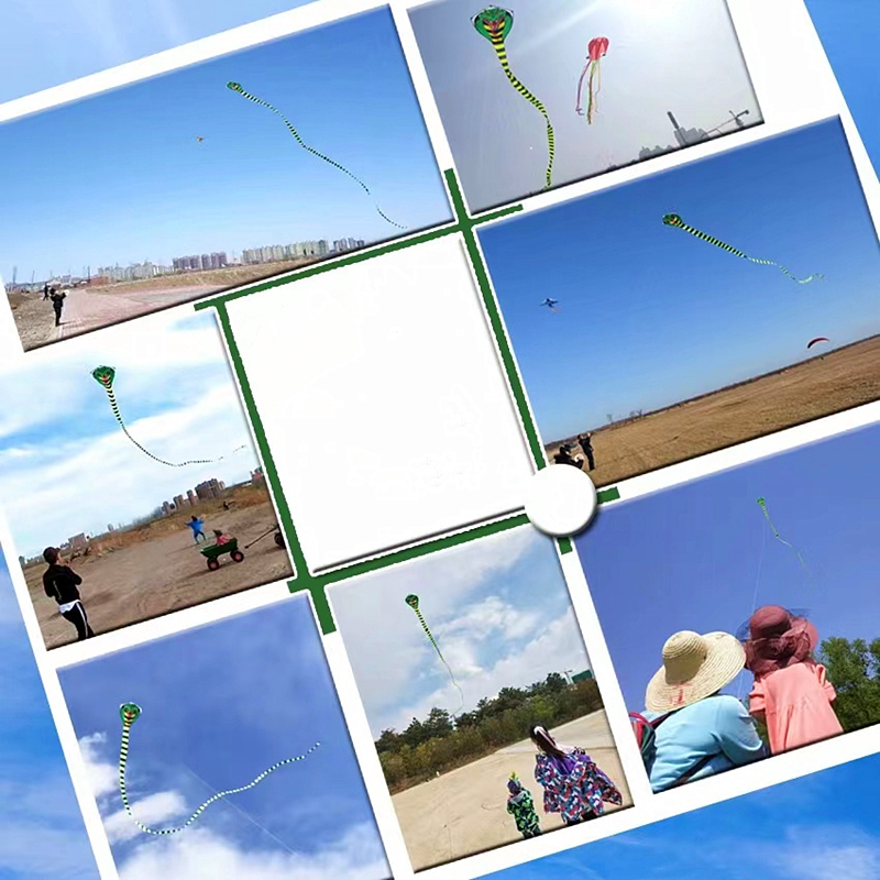 15m Large snake kites for chil – Kite Wind Outdoor Bewertung und Preis