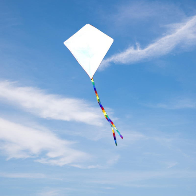 2pcs diy kite nylon fabric Chi – Kite Wind Outdoor Bewertung und Preis